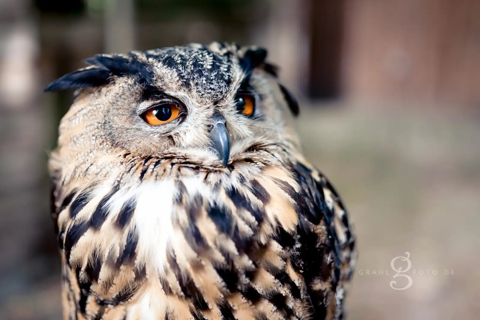 Familienshooting mit Kleinkindern im Tierpark Meissen