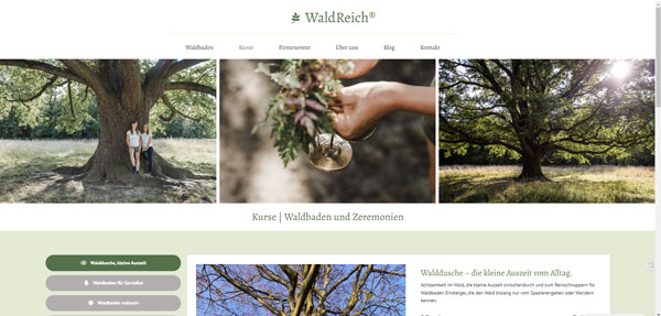 website Screenshot waldreich